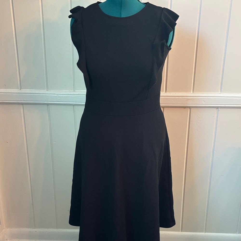 Elegant Black Sleeveless Dress back zip